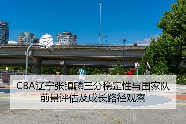 CBA辽宁张镇麟三分稳定性与国家队前景评估及成长路径观察 | pg